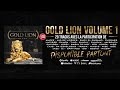 Gold Lion Vol.1 [ Demo Reel ] 12 vidéoclip