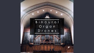 Organ Drone G