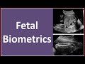 Normal Fetal biometrics