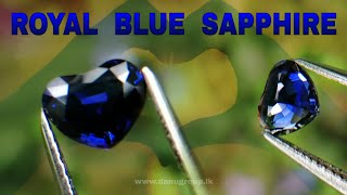 Blue Heart - Ceylon Natural Royal Blue Sapphire Heart Directly from the Gemstone Source