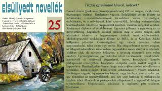 Elsüllyedt novellák #25 (hangoskönyv / antológia)