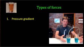 Flow Down Gradients