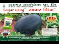 🍉SAGAR BIOTECH PVT LTD🍉| CAMPAIGNING WITH FARMER GUIDANCE