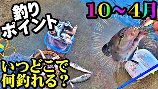 【釣り予習】北海道・ポイントと時期を予習復習・日本海・１０月～４月・初心者・【総集編】：2022年