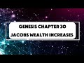 Genesis chapter 30 | Jacobs Wealth Increases