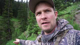 Using Trail Cameras for Mountain Mule Deer