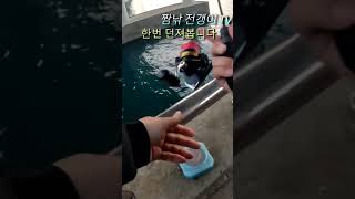 전갱이 루어 낚시 알리 웜 테스트 #아징 #전갱이루어 #アジング #fishing #전갱이