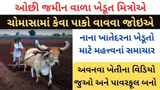 ઓછી જમીન હોય તેવા ખેડૂતોએ ચોમાસામાં શું વાવવું જોઈએ | ચોમાસુ 2024 | Chomasu Kheti | Samachar