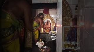 மணக்குடி ஸ்ரீ.நல்லநாயகி அம்மன் ஆலய மஹோ சண்டிஹோமம்