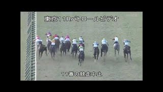 浜中騎手　落馬　2016年　東京新聞杯　ダッシングブレイズ　パトロールビデオ