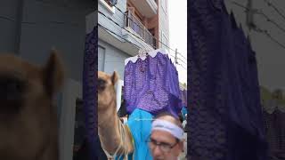 Jaloos e Aamari 2 Moharram Naugawan Sadat | #shia #azadar #karbala #shorts #viral