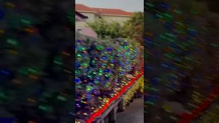 Christmas lights Torbay New Zealand 2024|| న్యూజీలాండ్ లో క్రిస్మస్ వేడుకలు