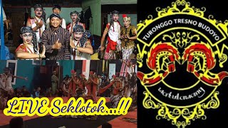 RAYON Seklotok singorojo Kendal...!! Turonggo Tresno Budoyo Watulawang live perfom dusun Seklotok.