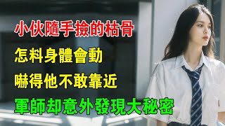 EP240：小夥隨手撿的枯骨，怎料身體會動，嚇得他不敢靠近，軍師卻意外發現大秘密