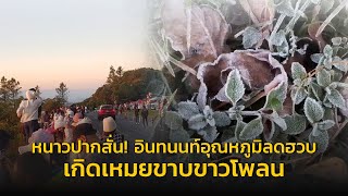 หนาวปากสั่น! อินทนนท์อุณหภูมิลดฮวบ แตะ 4 องศาฯ เกิดเหมยขาบขาวโพลน