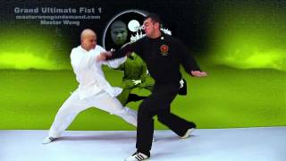 Tai Chi combat tai chi chuan fight style use tai chi - lesson 2