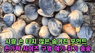 아는 사람만 가는 숨겨진, 비밀포인트에서 특대 개조개 대박쳤습니다. 여기는 사람 손을 하나도 안 탔어요