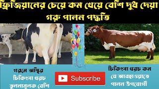 ফ্রিজিয়ানের চেয়ে কম খেয়ে বেশি দুধ দেয়া গরুর জাত ও লালন পালন পদ্ধতি | পৃথিবীর সেরা জাতের গরু