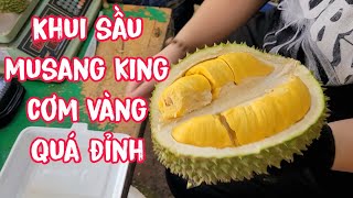 KHUI SẦU MUSANG KING CHO KHÁCH ĂN THỬ TẠI CHỖ CƠM VÀNG QUÁ ĐỈNH.