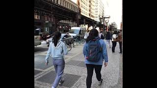 SAIC: School of the Art Institute in Chicago