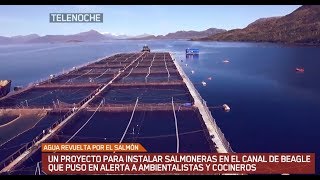 Buscan evitar la instalación de salmoneras en el Canal Beagle