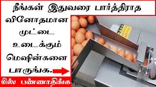 முட்டை உடைக்கும் வினோத இயந்திரங்கள் | Egg Processing Machine | Amazing Machine Compilation