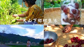 台灣的農村生活,夏天簡單美味的料理 水果三明治早餐 涼拌豆干絲 做李子糖漿 絲瓜冬粉 獨居生活日常cooking vlog, Making plum syrup,