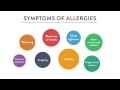 Grass Allergies Lecture 4