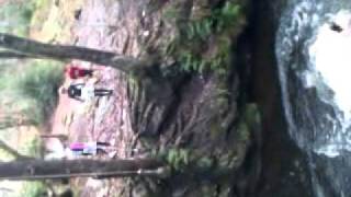 Plymbridge dom jump