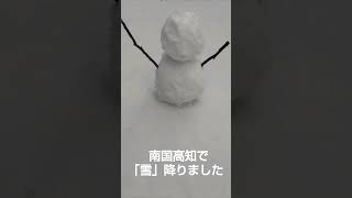 高知市で「雪」