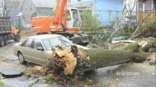 Tree down, Power Out in Fitchburg, Mass.