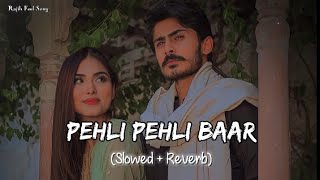 🎧Slowed and Reverb Songs | Pehli Pehli Baar Mohabbat Ki Hai | RAJIB 801
