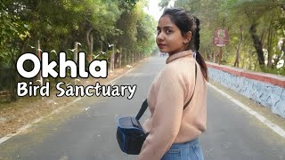 Okhla Bird Sanctuary in Delhi | Birds watching experience | How to go (Detailed Information) |