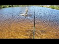 100 FISH DAY AND PB - Kayak Snook Fishing