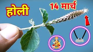 होलिका दहन की रात कर लेना ये उपाय साल भर बरसेगा पैसा | Vastu sashtra | Holi 2025 vastu