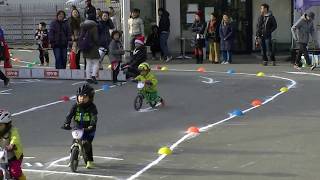 BMX　岸和田　阪本章史杯　ランバイク2-3歳　ヒート3　H29年度＃2