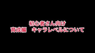 まおりゅう　初心者さん向け　育成編　レベルについて