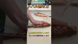 メバル姿造りの捌き方#shorts #short #japan #fish #new #簡単 #おすすめ #チャレンジ #料理 #釣り #楽しい #美味しい #ミッション #人気 #最新