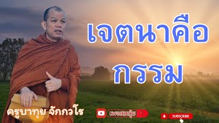 เจตนาคือกรรม ครูบาทุย จักกวโร 5/01/2568 #วัดป่าบ่อน้ำพระอินทร์ #อานาปานสติ