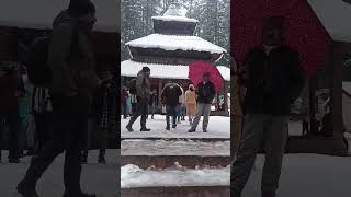 Hadimba  temple manali 21-01-2023 #shorts #hadimbatemple #new #viral #travel #manali