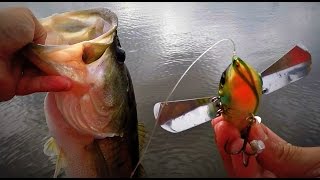 Pompadour Jr. Bass Fishing - Crazy Topwater Action and Big Blowups