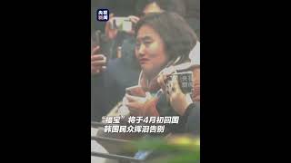 顶流“福宝”即将回国，数千韩国民众送别。谢谢你们！有空大家可以来四川看“福宝”！| CCTV