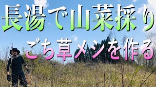 【田舎暮らし＠長湯で春の山菜採り】ごち草メシを作る　その1