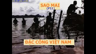 SAOMAI(P11) ĐẶC CÔNG TẤN CÔNG CĂN CỨ PHƯỢNG HOÀNG / hồi ức lính chiến (932)