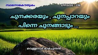 സ്ഥലനാമകൗതുകം/ചുനക്കര/chunakkara/statanama kowthukam/vellanadu ramachandran/toponymy/history/kerala