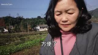 东北退休花姐在四川乡镇养老，发现冬天地里还有菜，还有鲜花盛开