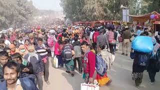 Mahakumbh 2025 | Thousands of Devotees Going For Holy Dip on Mauni Amavasya at Sangam | Prayagraj