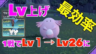 【ポケモンSV】クリア後の最高率のレベル上げ紹介！1戦で1匹14000以上稼げます【ラッキーでレベル上げ】