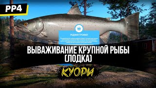 Вываживание крупной рыбы на Куори (Лодка) Синий трофей Озерная форель - Русская Рыбалка 4