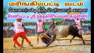 பரபரப்பான ஆட்டம் காளையா??? காளையர்களா??? களம்- மரிங்கிப்பட்டி வடம்